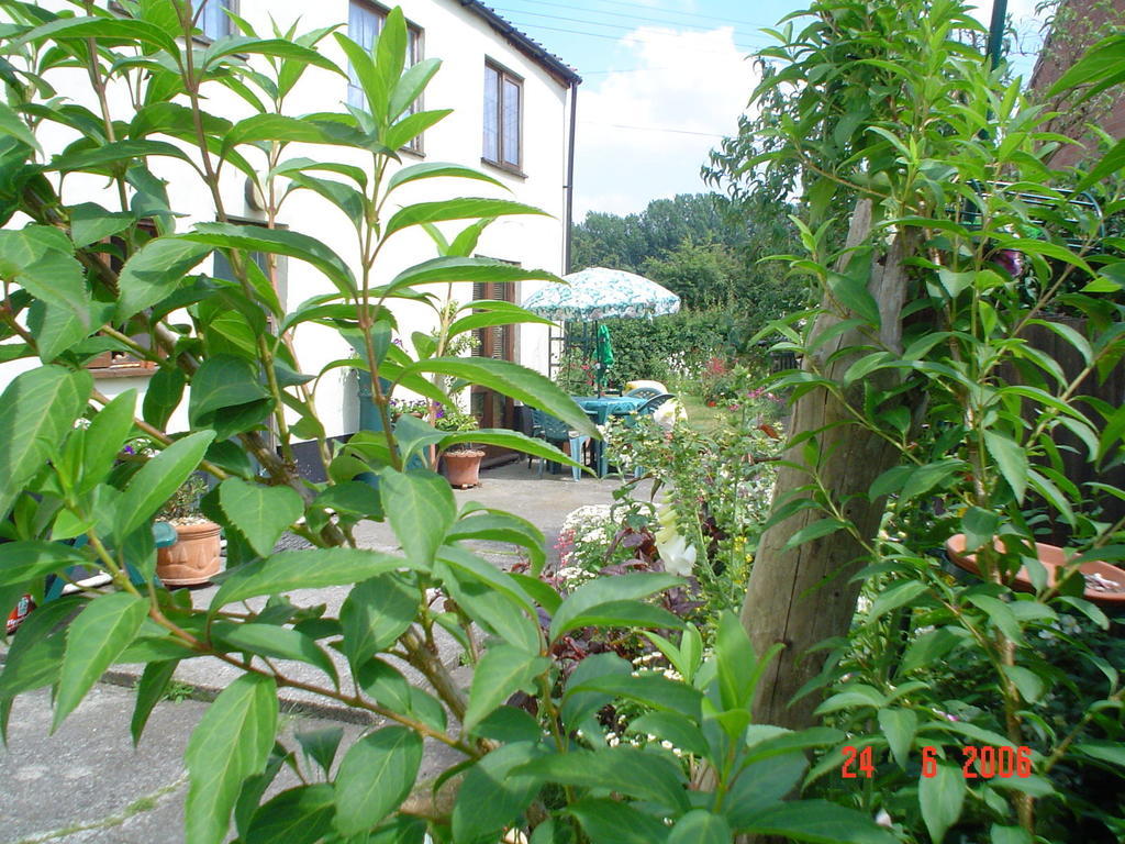 The Elms Bed & Breakfast East Harling Dış mekan fotoğraf