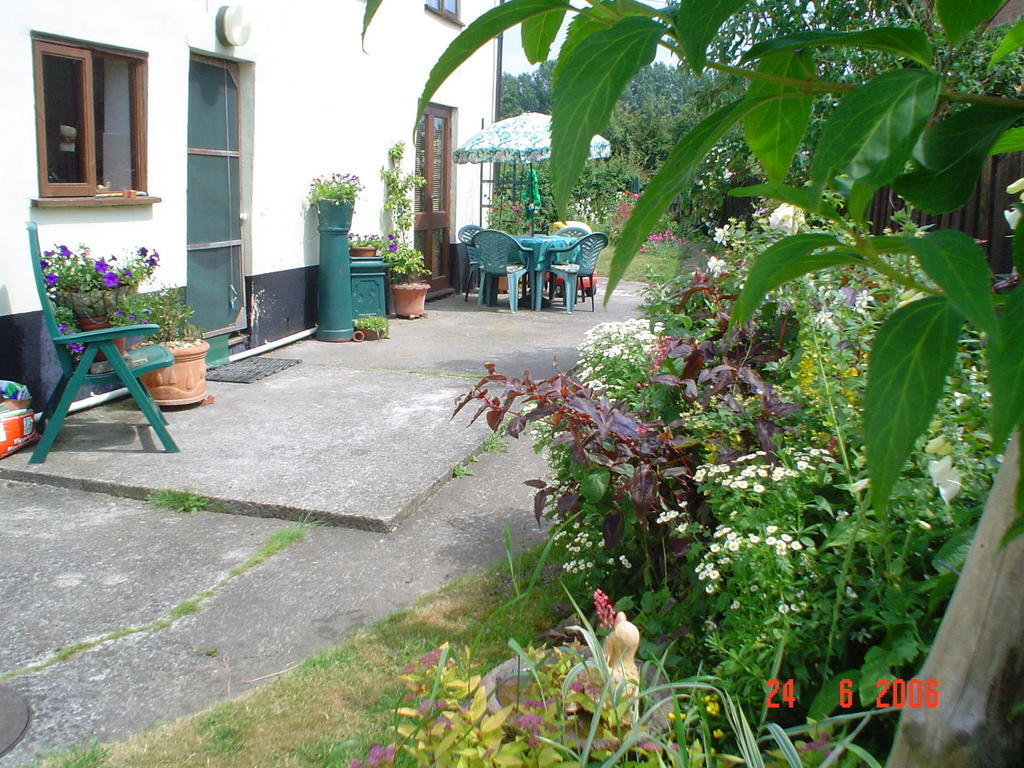 The Elms Bed & Breakfast East Harling Dış mekan fotoğraf
